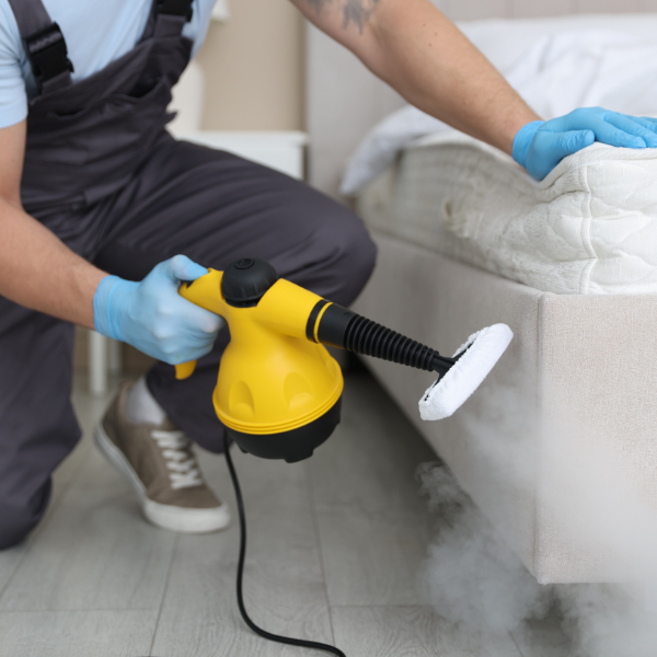 pet safe pest control Hawaii