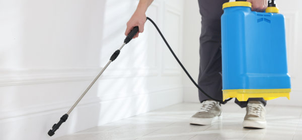 eco-friendly pest control Hawaii pets