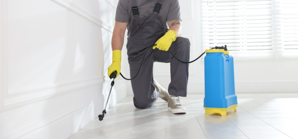 rodent control Hawaii